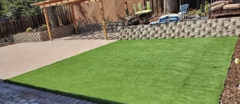 Reliable yard cleanup service in San Jose, CA by SAC Landscaping & Gardening