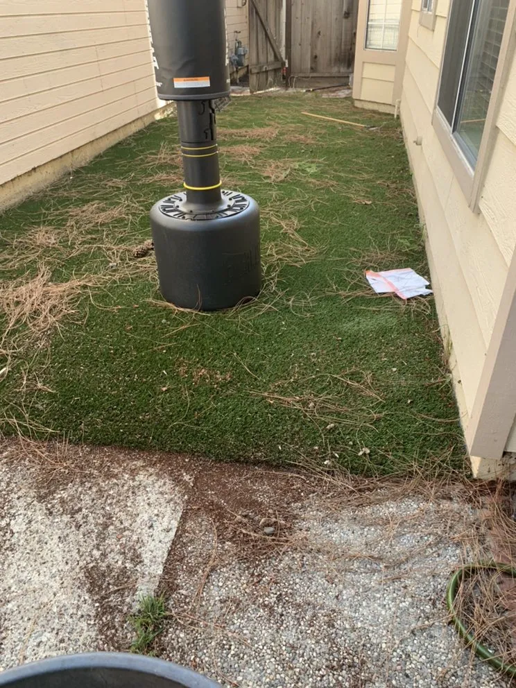 Expert lawn care service experts serving San Jose, CA - SAC Landscaping & Gardening