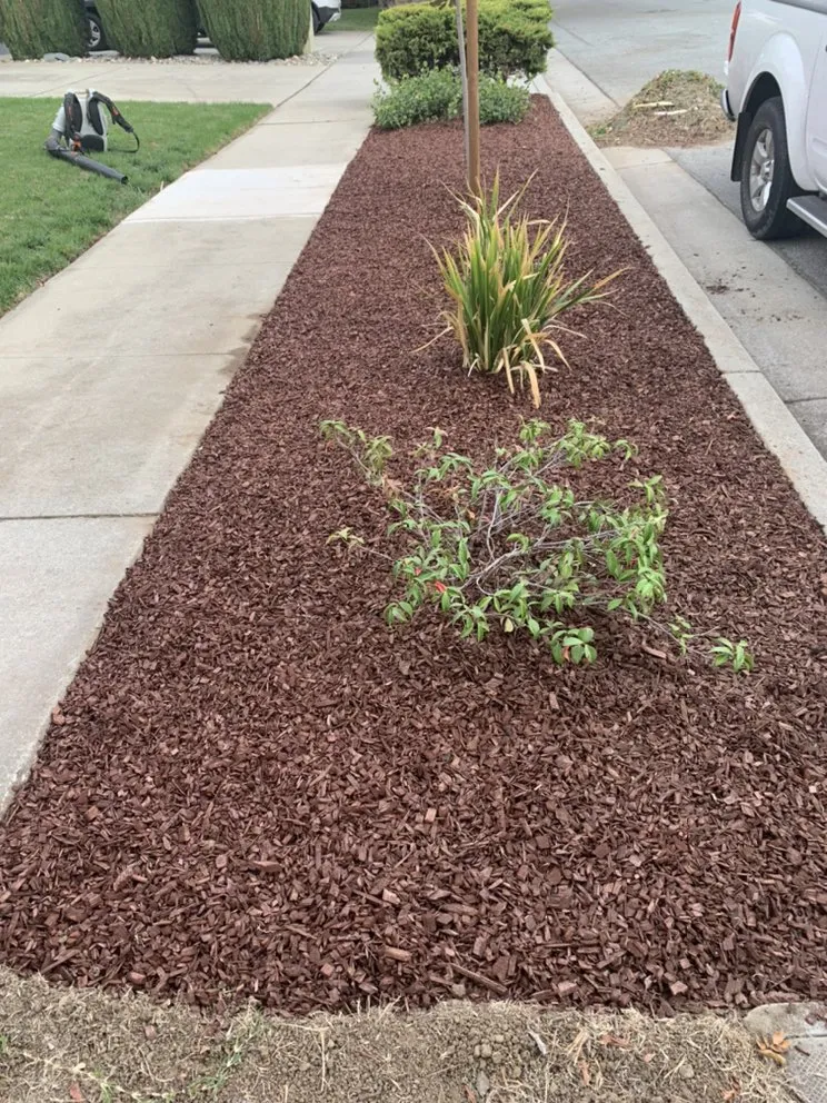 Affordable lawn mowing service in San Jose, CA - SAC Landscaping & Gardening