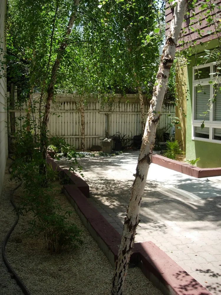 Top-rated landscape installation experts serving Berkeley, CA - Sachi