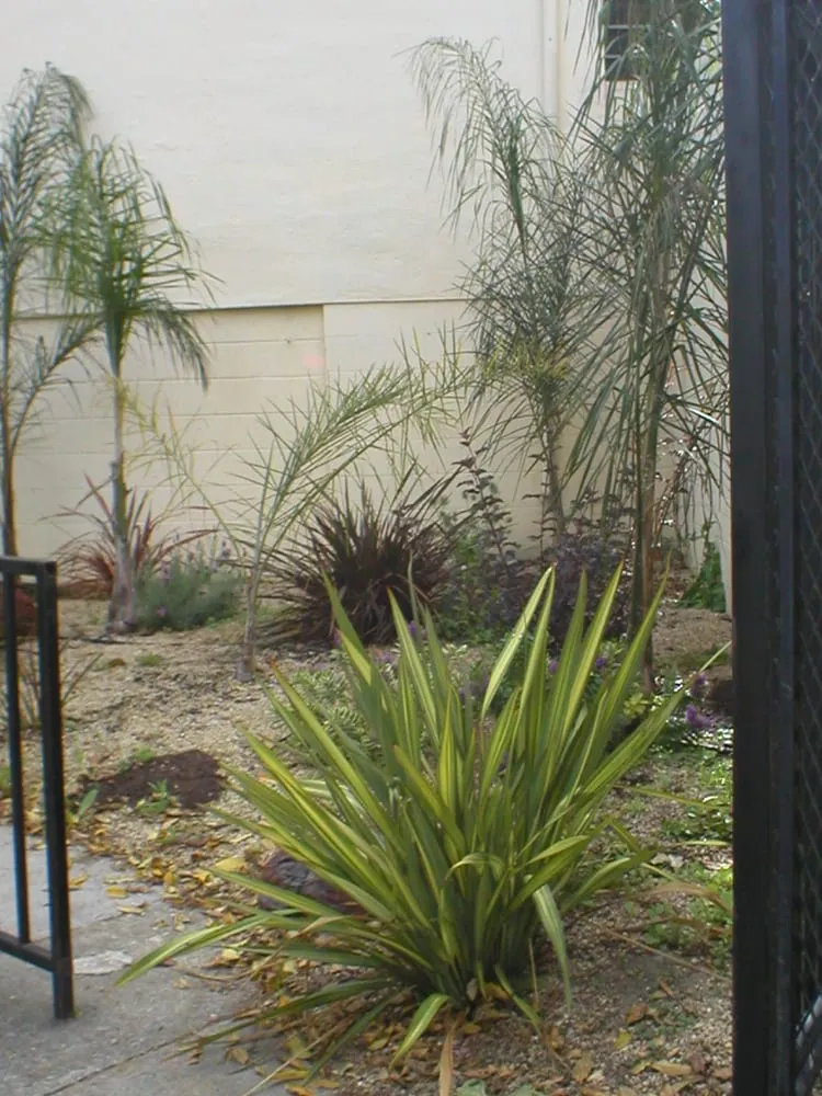 Trusted garden landscaping in Berkeley, CA by Sachi