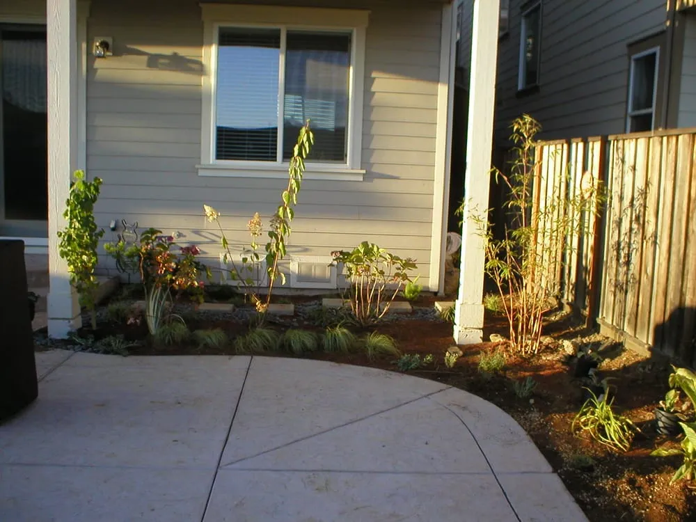Expert landscape installation in Berkeley, CA - Sachi