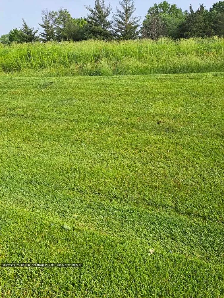 Affordable outdoor landscaping in Union, MO by Sachs Lawn Care