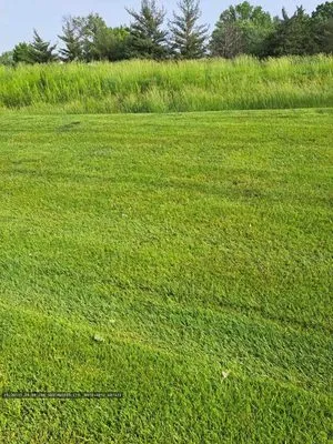 Sachs Lawn Care Logo