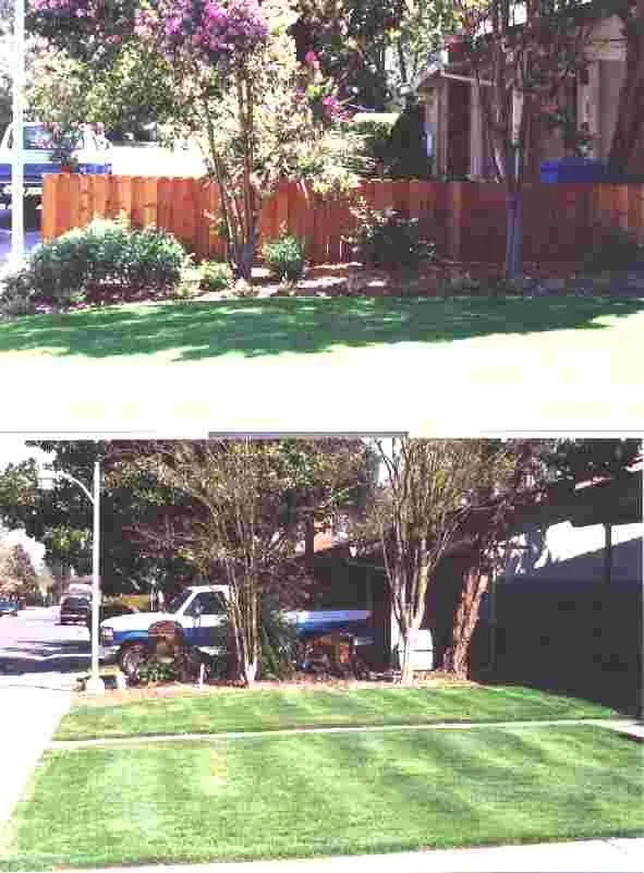 Local garden landscaping for beautiful yards in Sacramento, CA by Sacramento Landscape Company