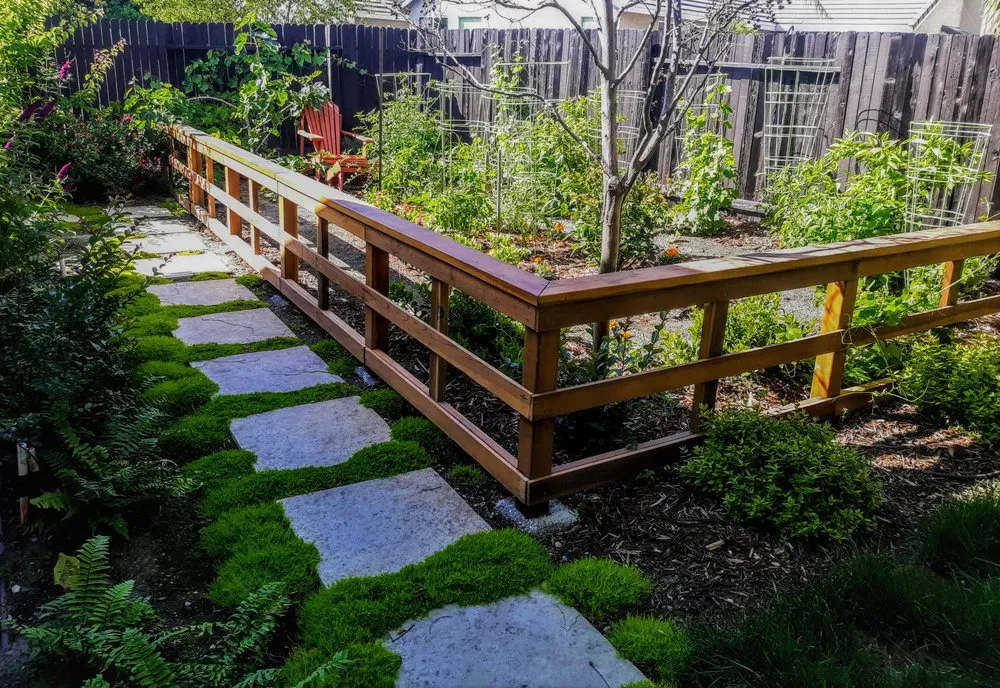 Professional yard maintenance experts serving Sacramento, CA - Sacramento Landscape Company