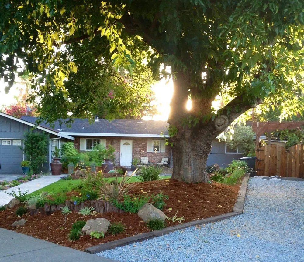 Trusted landscape design in Sacramento, CA - Sacramento Landscaping