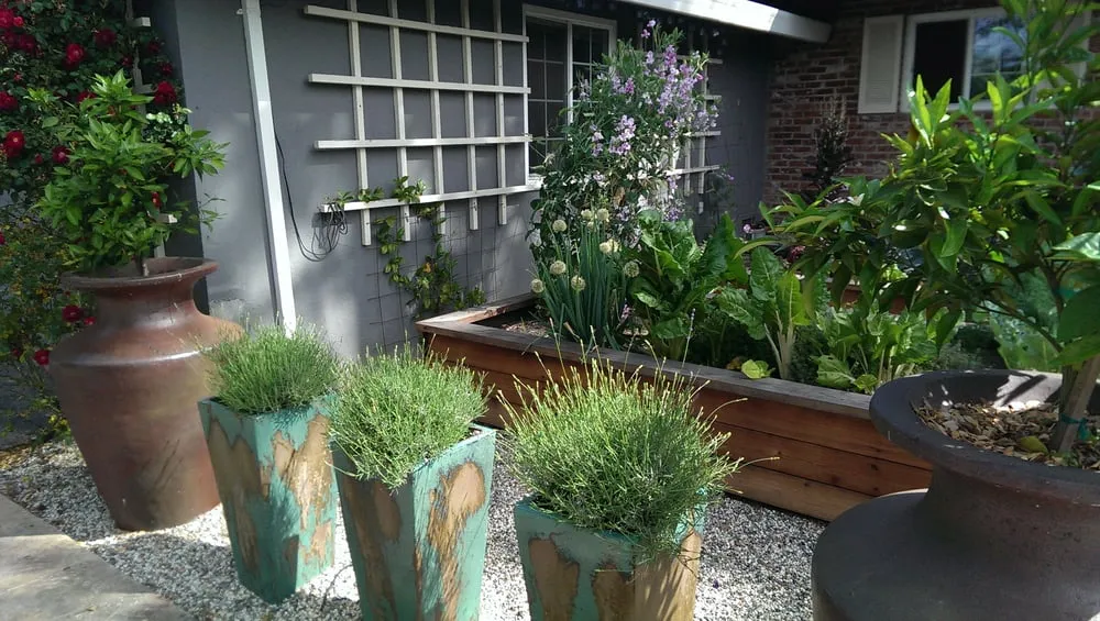 Trusted residential landscaping in Sacramento, CA - Sacramento Landscaping