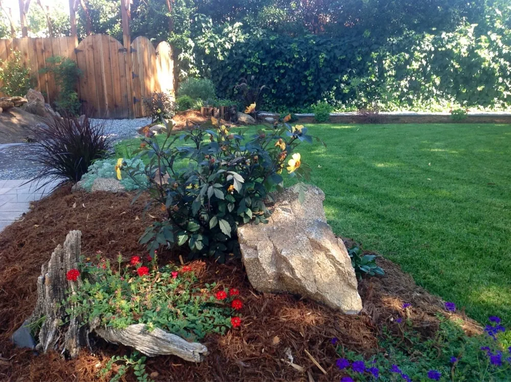 Custom residential landscaping for homes in Sacramento, CA by Sacramento Landscaping