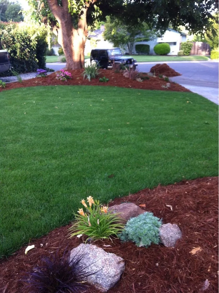 Expert yard maintenance in Sacramento, CA by Sacramento Landscaping