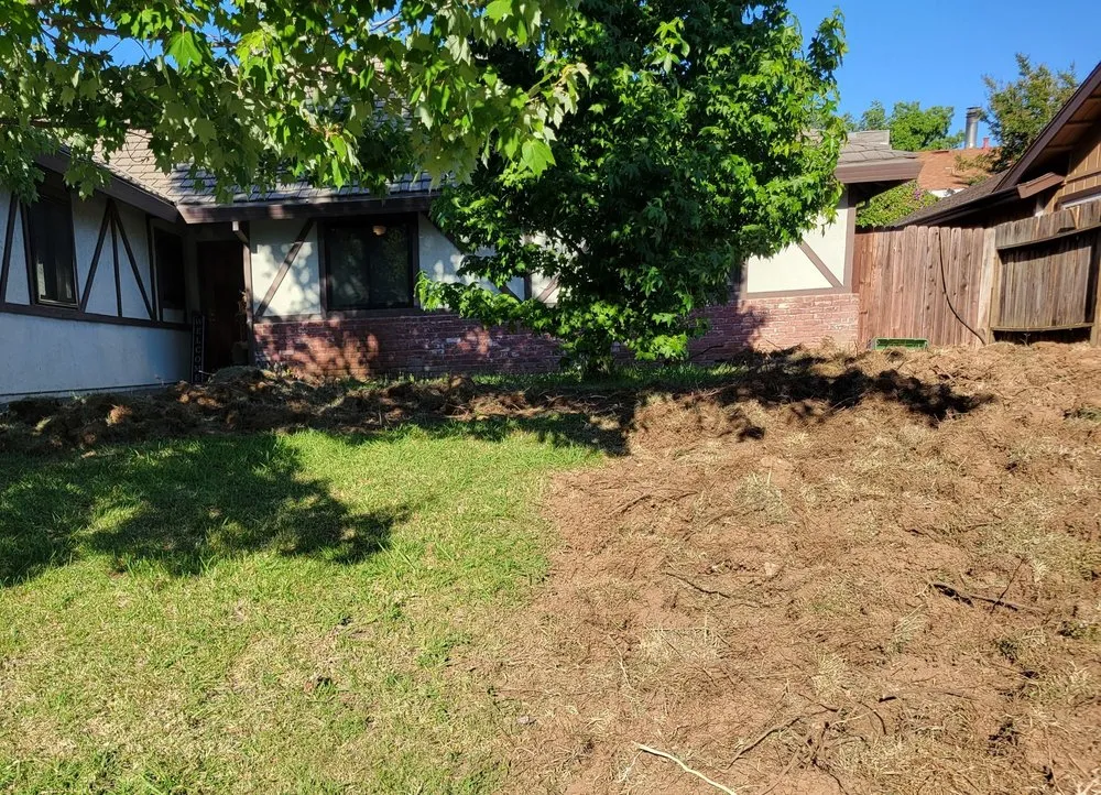 Expert yard cleanup service in Sacramento, CA - Sacramento Landscaping
