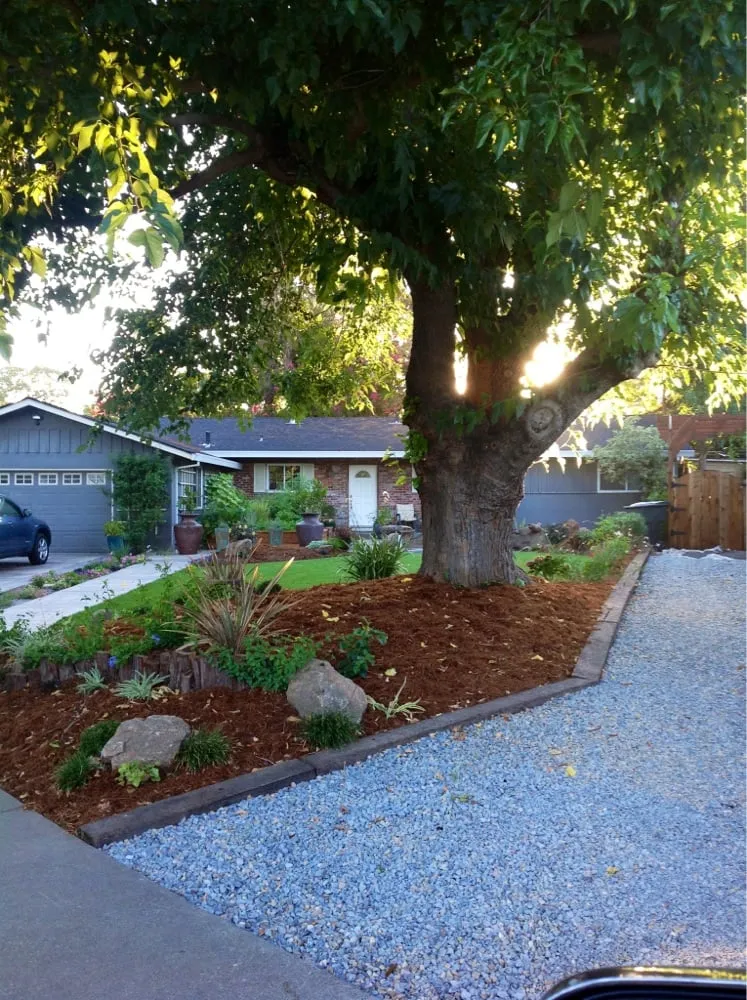 Affordable yard maintenance near you in Sacramento, CA by Sacramento Landscaping