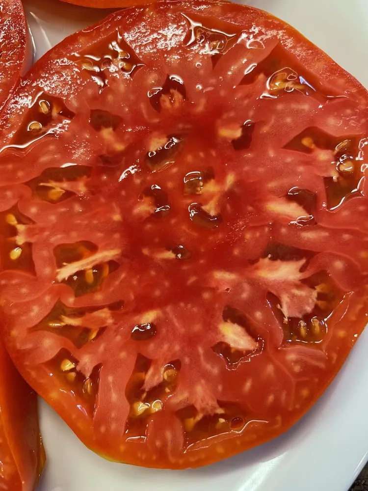 Expert landscape installation for year-round maintenance across Sacramento, CA - Sacramento Vegetable Garden Specialty