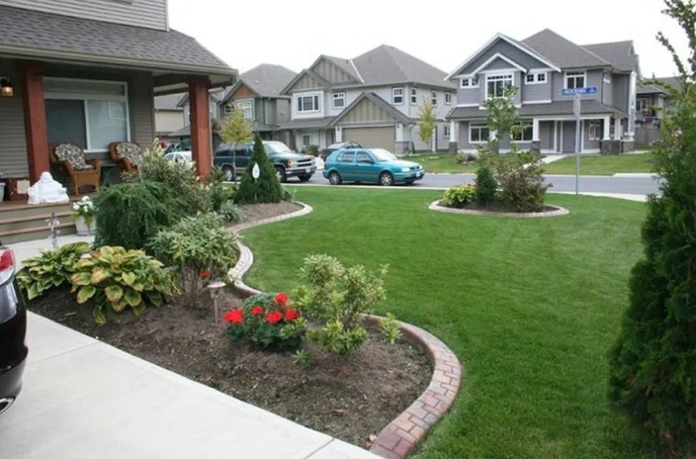 Affordable landscaping services for year-round maintenance in Elk Grove, CA by Sacramento Yard Doctor