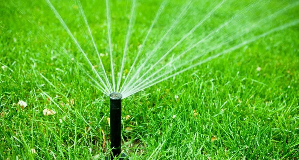 Affordable lawn care service for year-round maintenance in Elk Grove, CA by Sacramento Yard Doctor