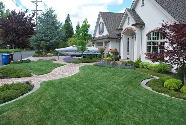 Reliable lawn mowing service in Elk Grove, CA by Sacramento Yard Doctor