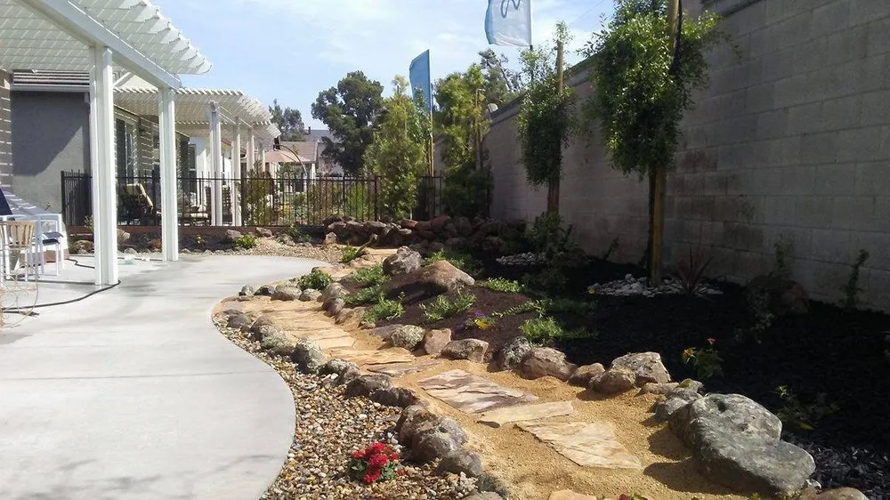 Expert yard maintenance in Elk Grove, CA by Sacramento Yard Doctor