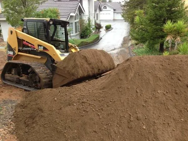 Reliable yard cleanup service in Newman, CA - Sacred Ground Enterprises