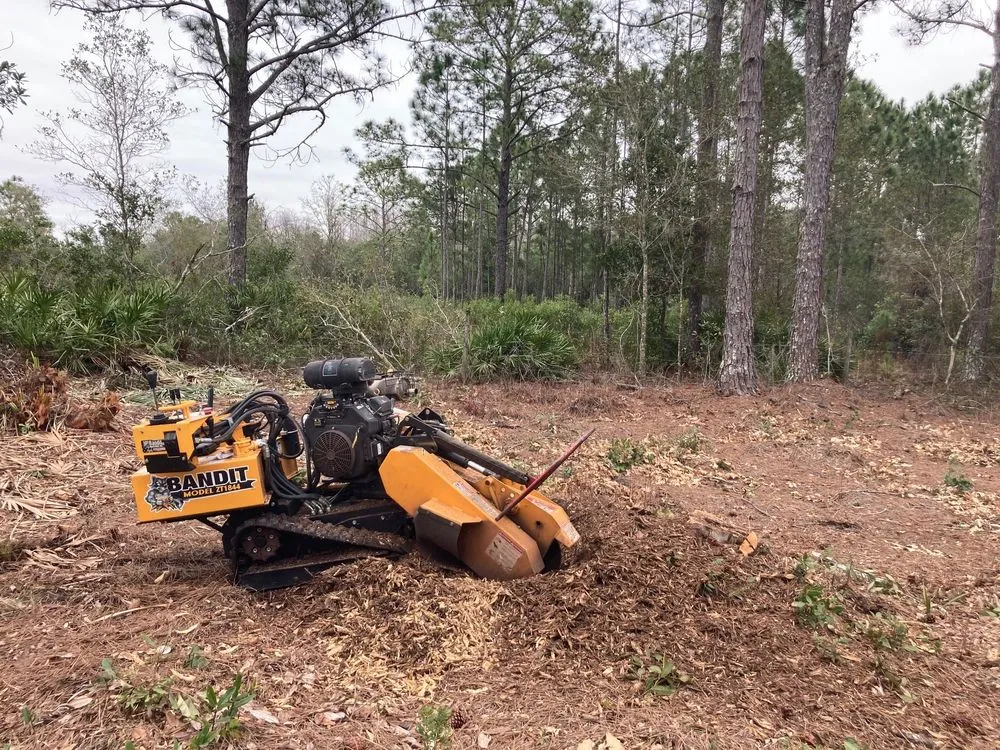 Local landscaping services in Winter Haven, FL - Sacred Pines Stump Grinding and Removal