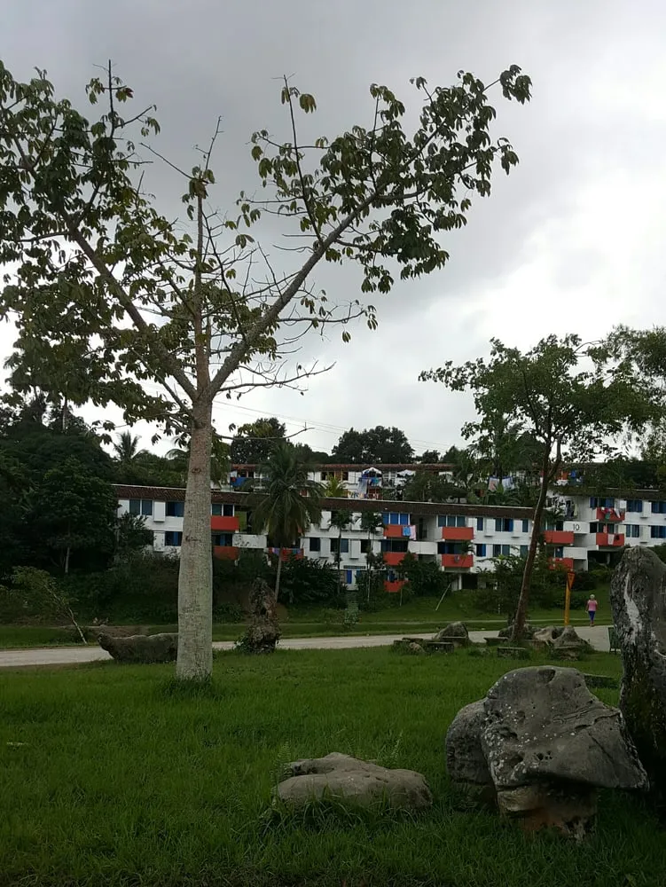 Local lawn mowing service in Tujunga, CA by Sacred Space Garden Design Inc.