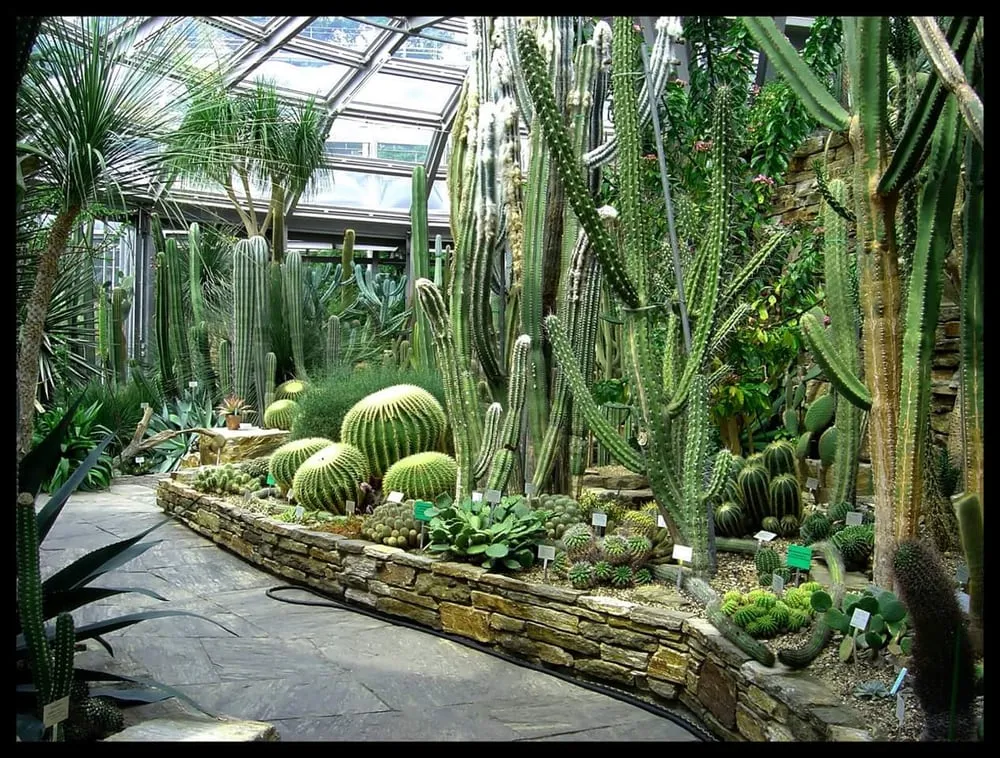 Affordable garden landscaping for residential properties in Tujunga, CA by Sacred Space Garden Design Inc.