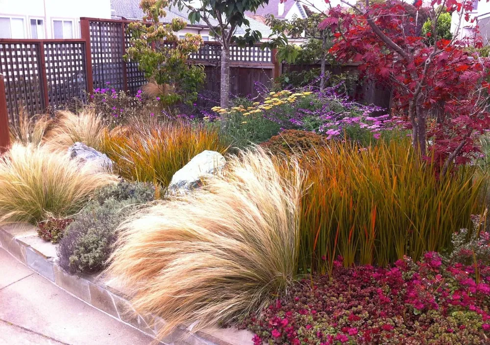 Custom landscape design for year-round maintenance across San Francisco, CA - Sacred Space Gardens