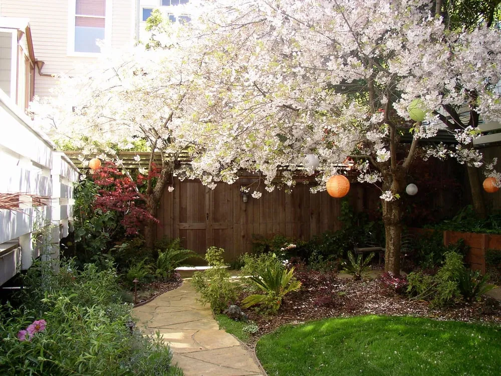 Custom yard maintenance in San Francisco, CA - Sacred Space Gardens