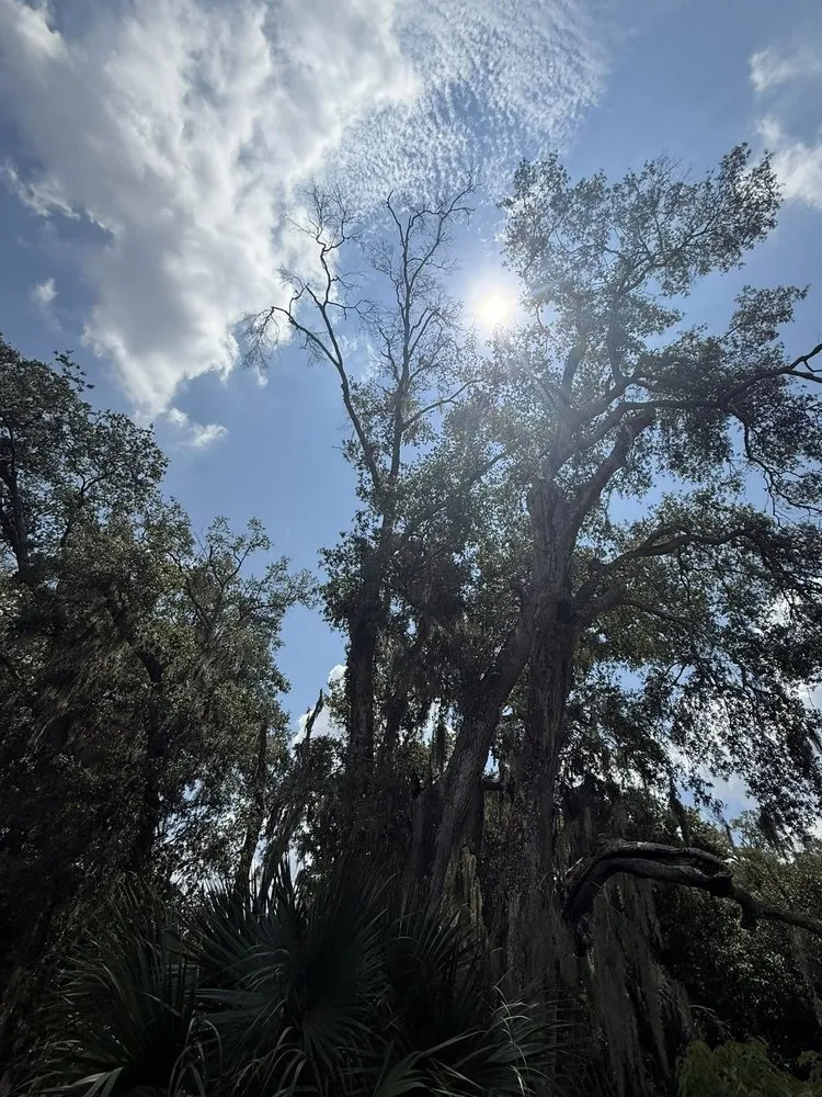 Top-rated residential landscaping near you across Orlando, FL - Sacred Tree Service