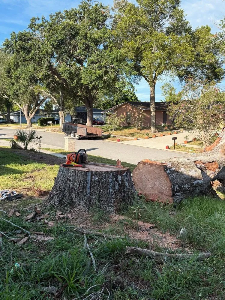 Reliable yard maintenance in Orlando, FL - Sacred Tree Service