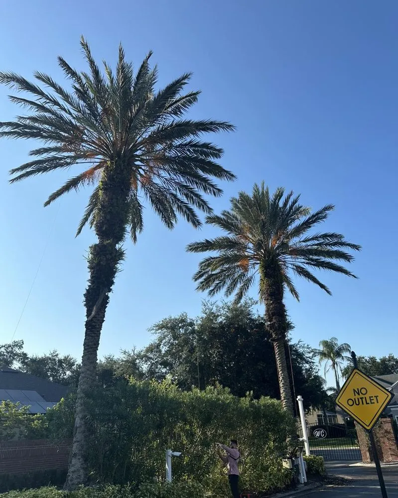 Custom garden landscaping for beautiful yards in Orlando, FL by Sacred Tree Service