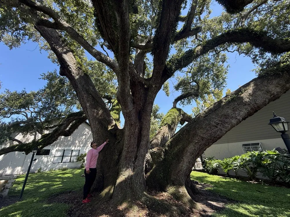 Local yard maintenance with custom design across Orlando, FL - Sacred Tree Service