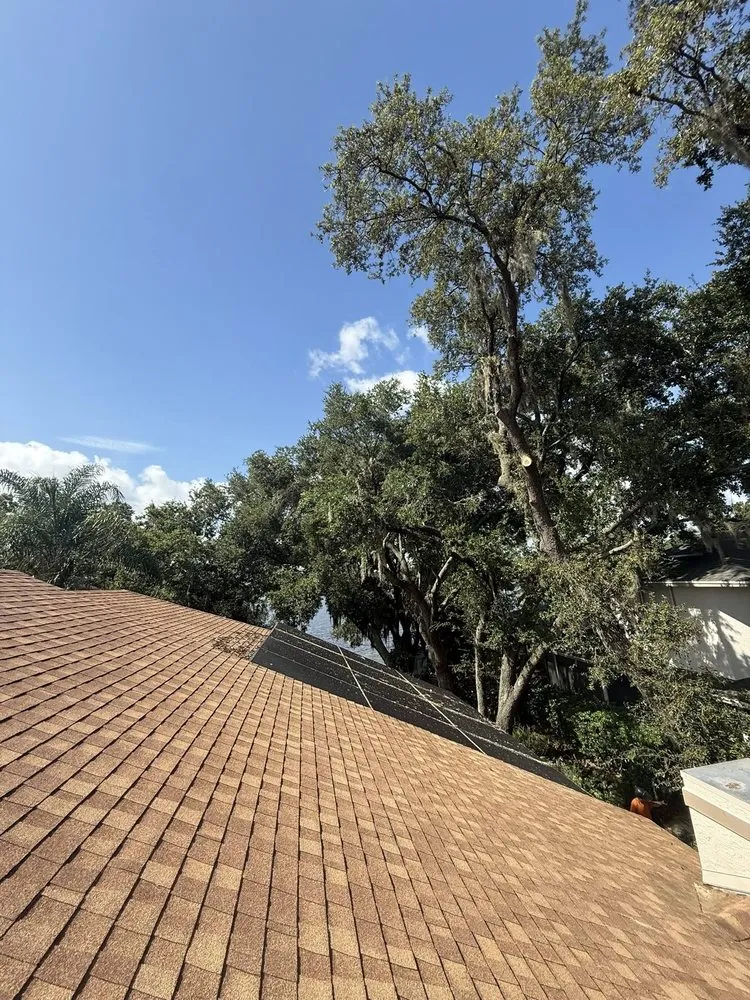 Affordable residential landscaping experts serving Orlando, FL - Sacred Tree Service