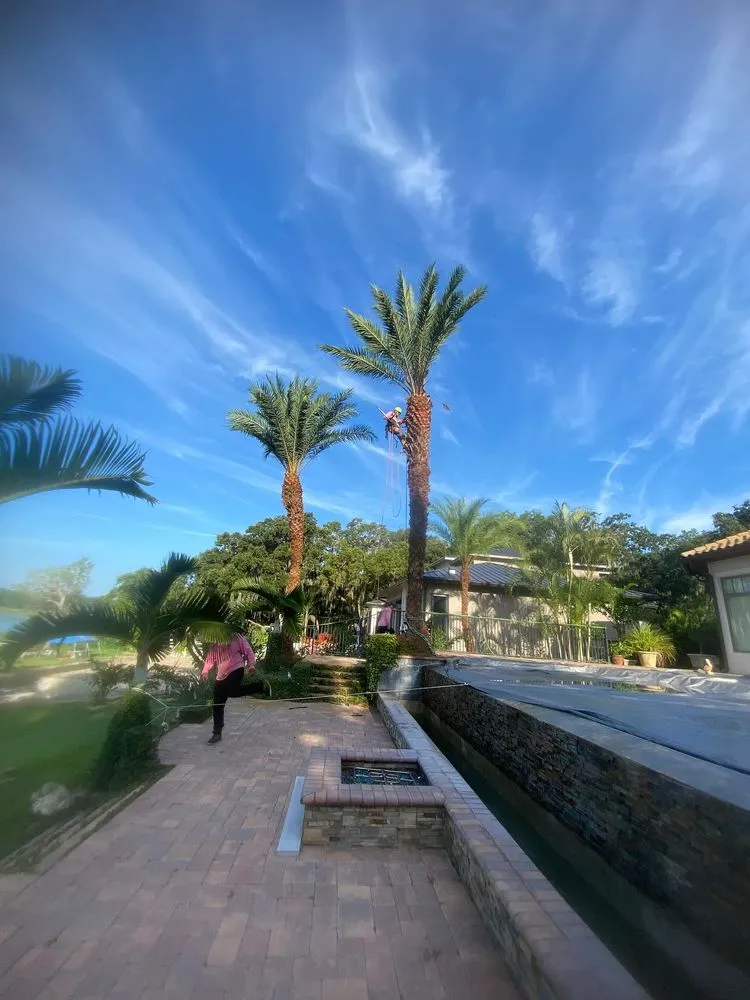 Expert landscaping services with custom design across Orlando, FL - Sacred Tree Service