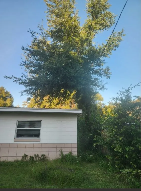 Expert landscape installation experts serving Orlando, FL - Sacred Tree Service