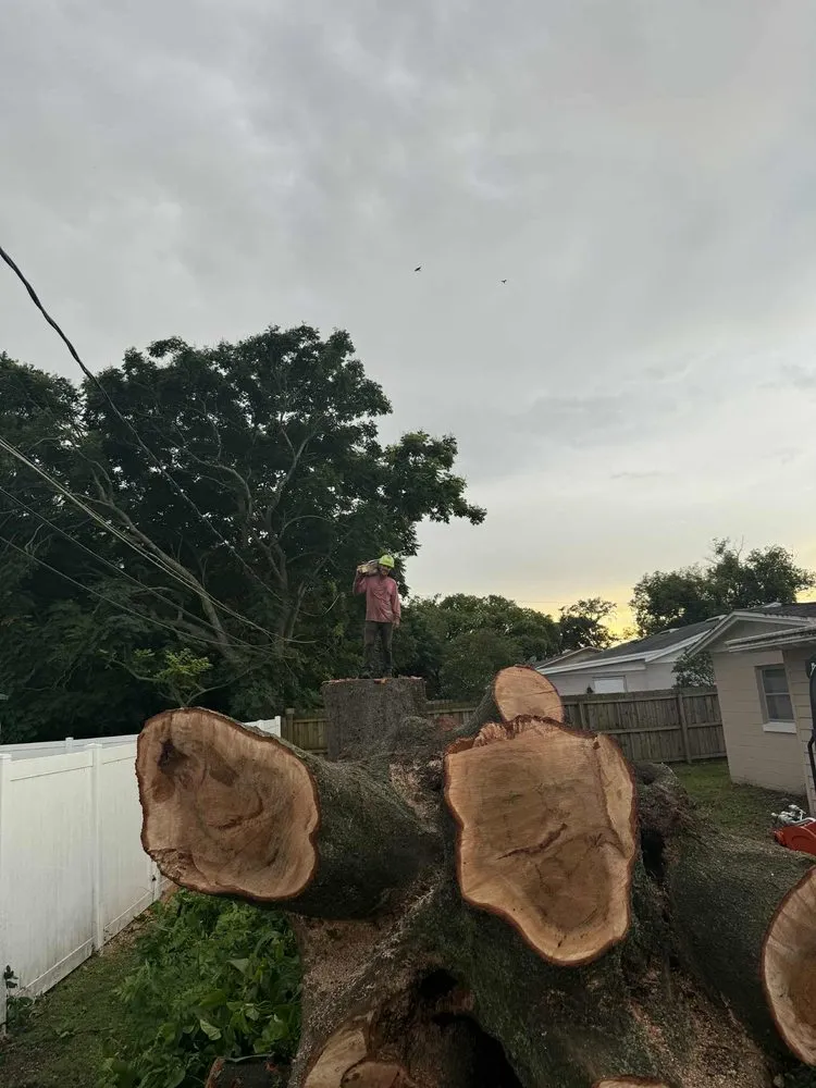 Trusted landscaping services in Orlando, FL - Sacred Tree Service