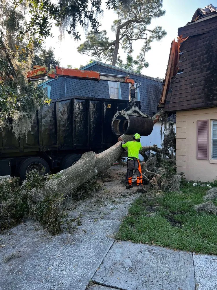 Top-rated yard maintenance for year-round maintenance across Orlando, FL - Sacred Tree Service