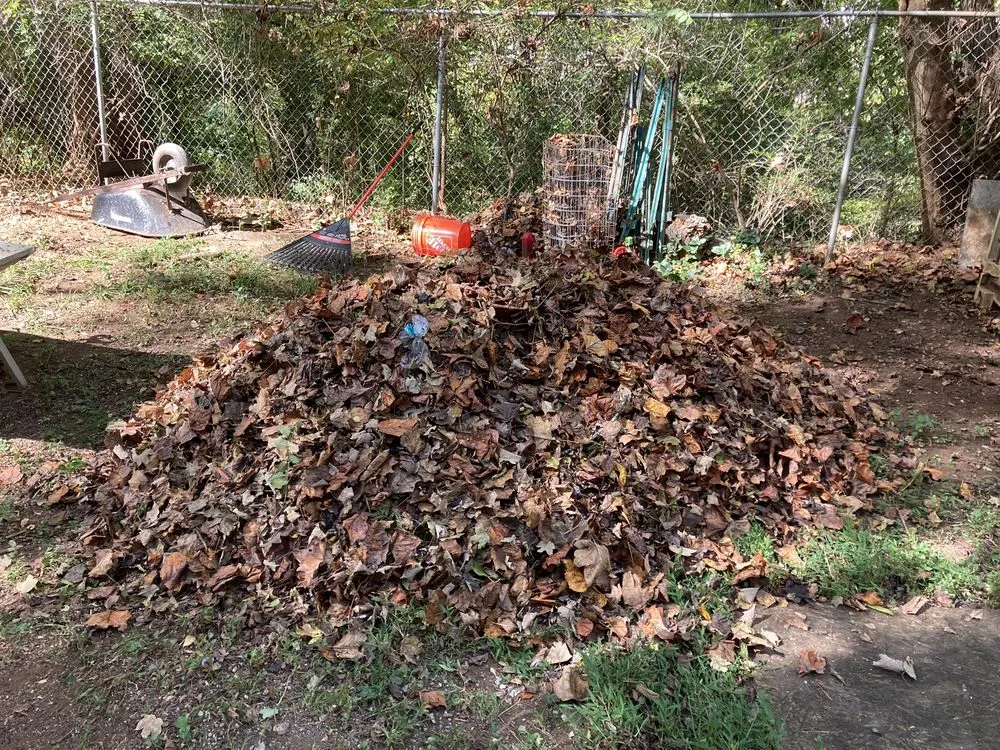 Affordable yard cleanup service experts serving Knoxville, TN - Sacredscapes