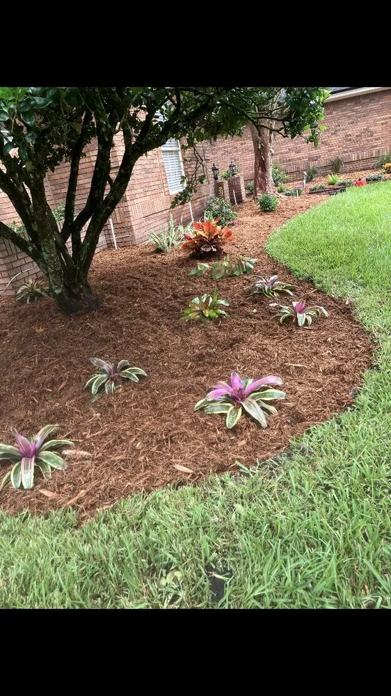 Trusted landscaping services in Jacksonville, FL by Saeger Landscaping