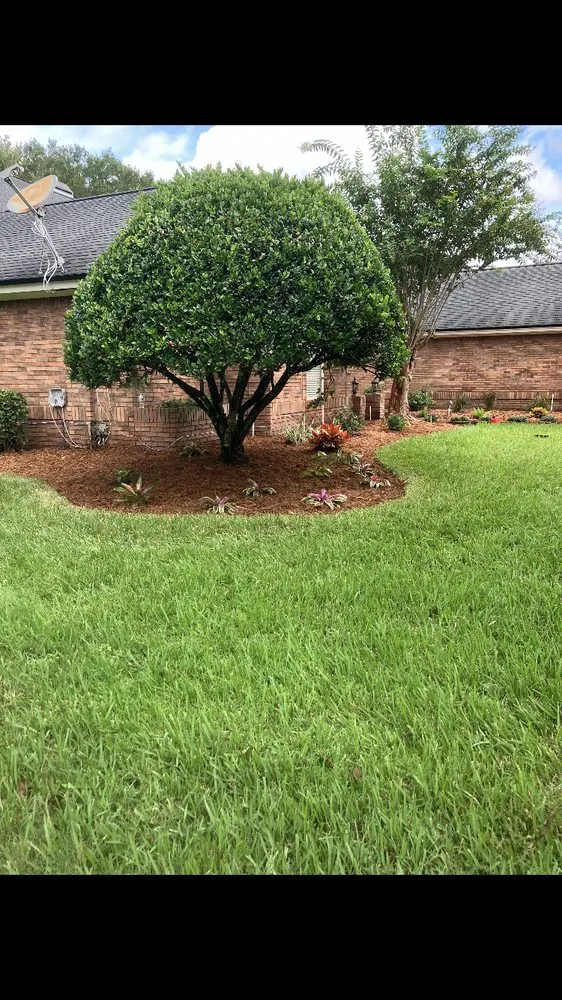 Affordable outdoor landscaping in Jacksonville, FL by Saeger Landscaping