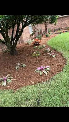 Saeger Landscaping Logo