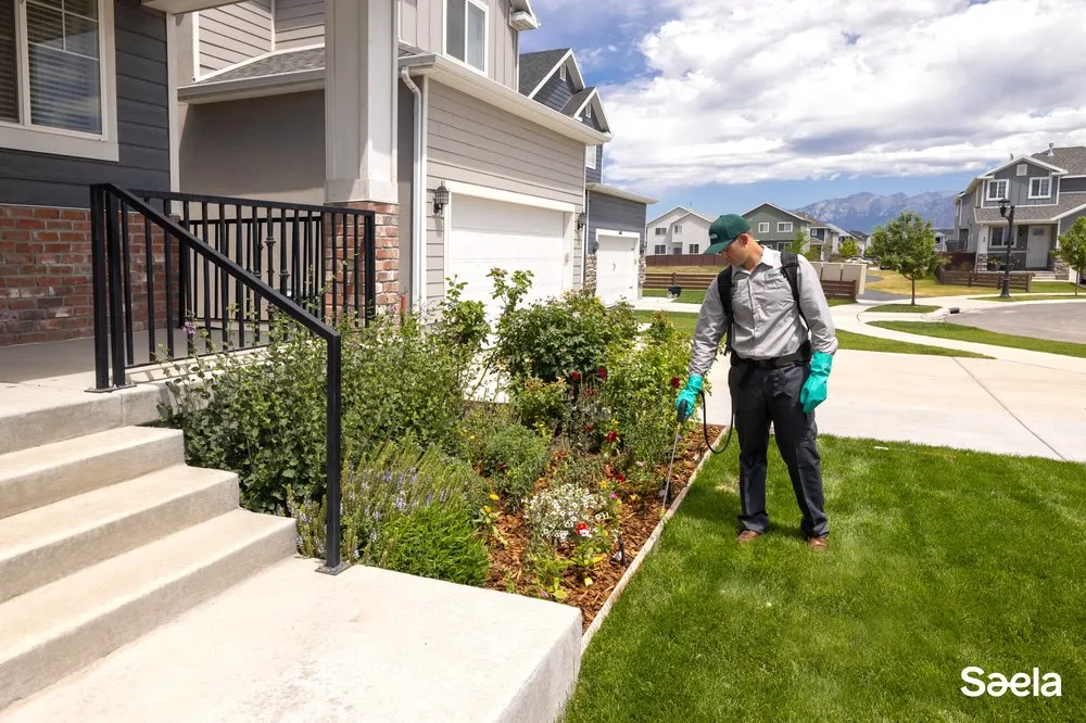 Professional lawn care service for beautiful yards in Merriam, KS by Saela Pest Control