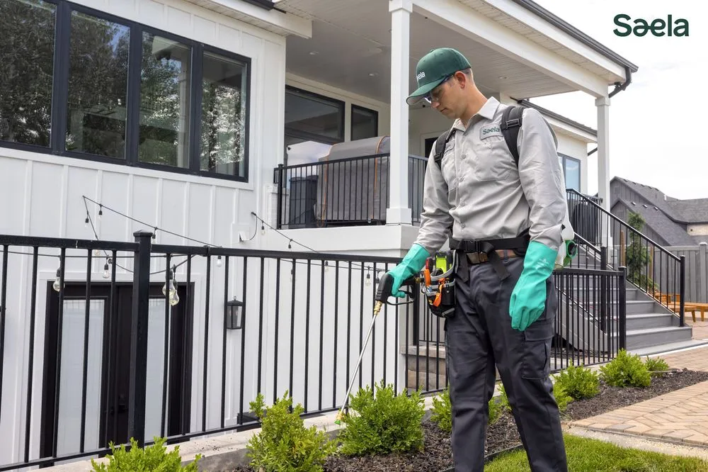 Professional yard maintenance in Merriam, KS - Saela Pest Control