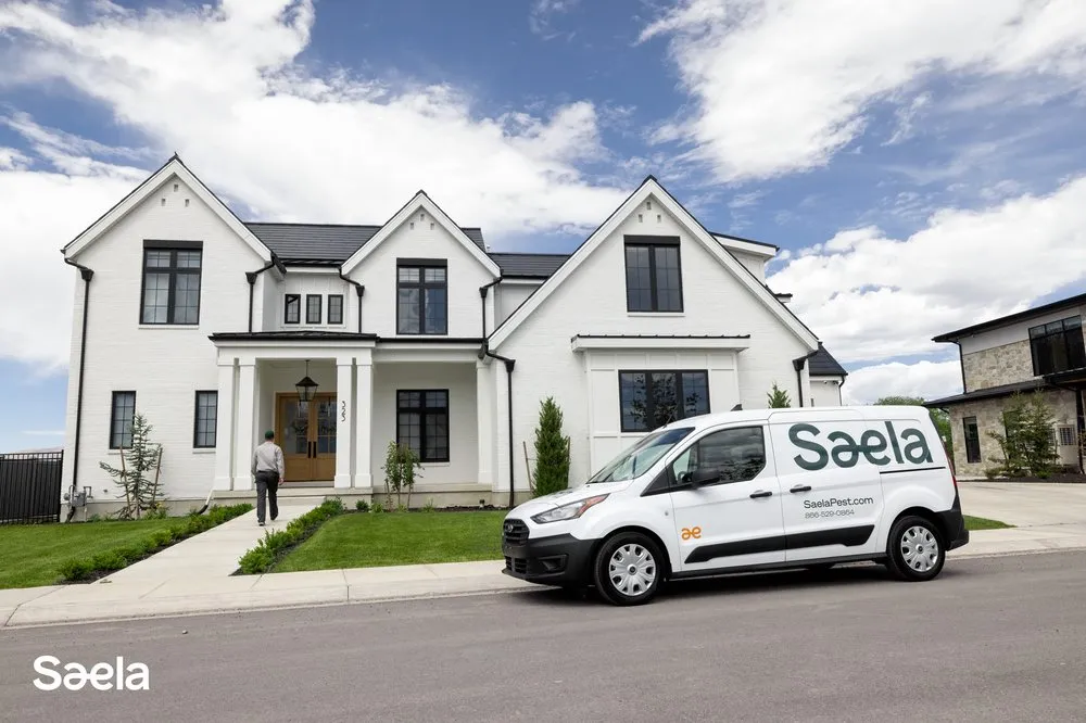 Professional yard cleanup service for year-round maintenance in Merriam, KS by Saela Pest Control