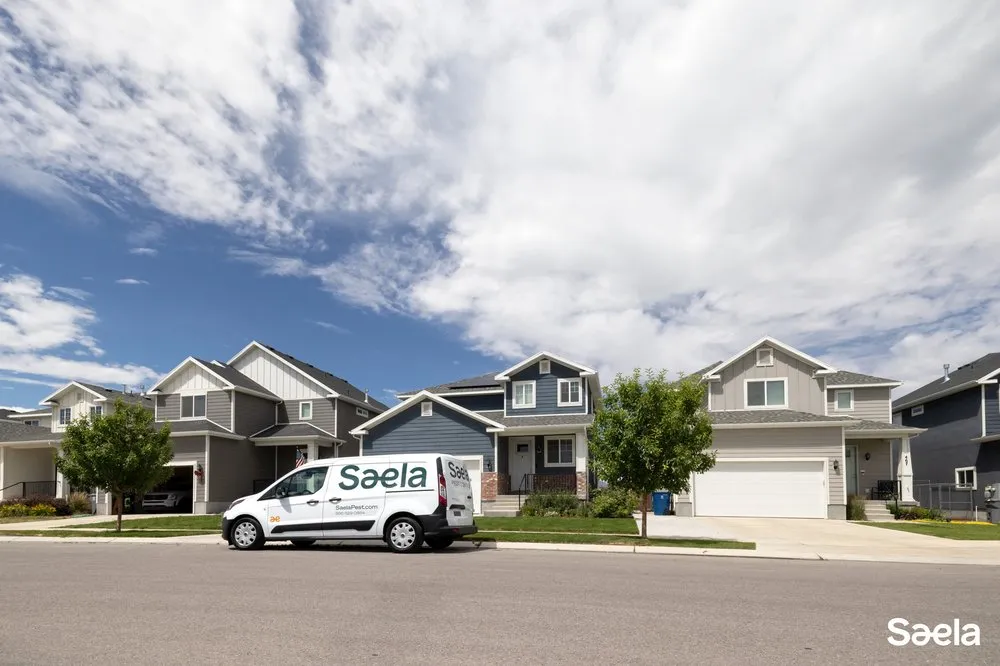 Local lawn mowing service in Merriam, KS - Saela Pest Control