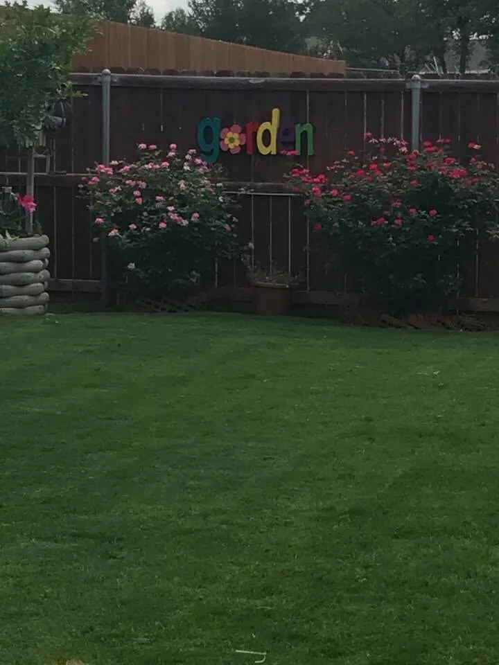 Trusted lawn care service for residential properties in Granbury, TX by Sael's Lawn Care