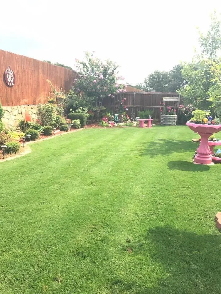 Reliable residential landscaping in Granbury, TX - Sael's Lawn Care