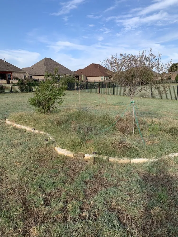 Trusted lawn mowing service in Granbury, TX by Sael's Lawn Care