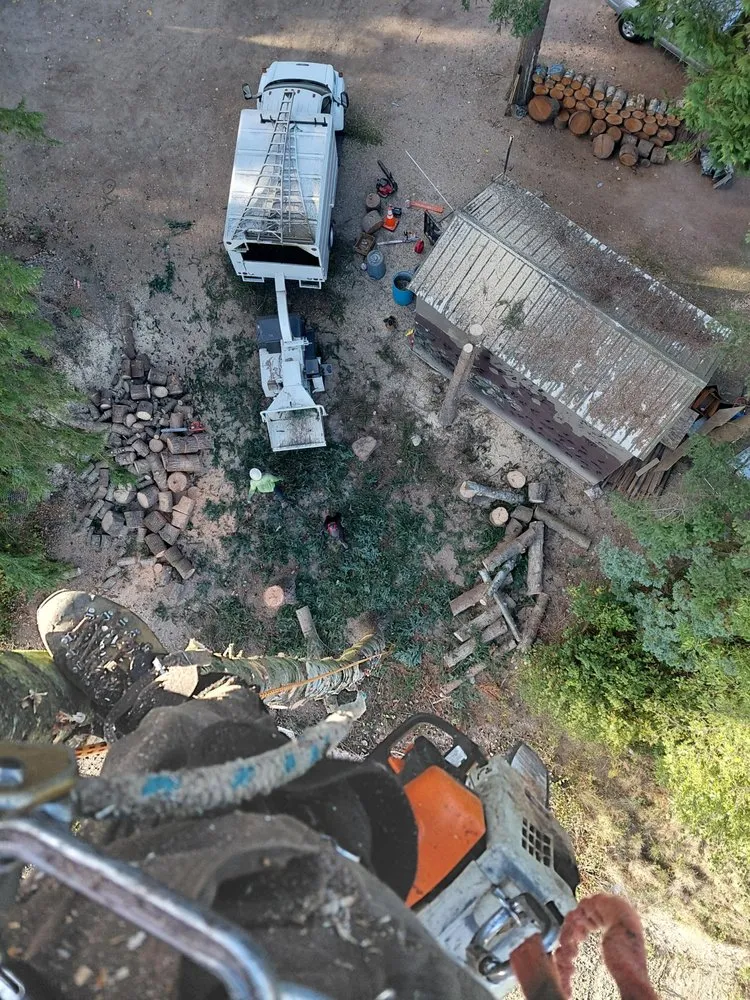 Trusted lawn mowing service experts serving lakewood, WA - Saen Tree Removal Services