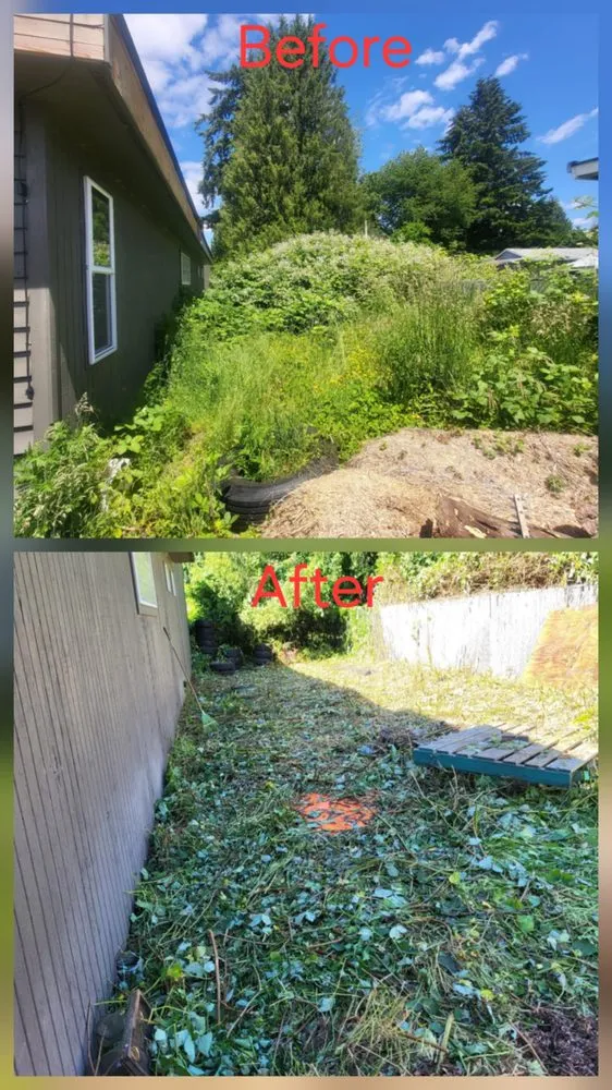 Trusted yard cleanup service experts serving lakewood, WA - Saen Tree Removal Services