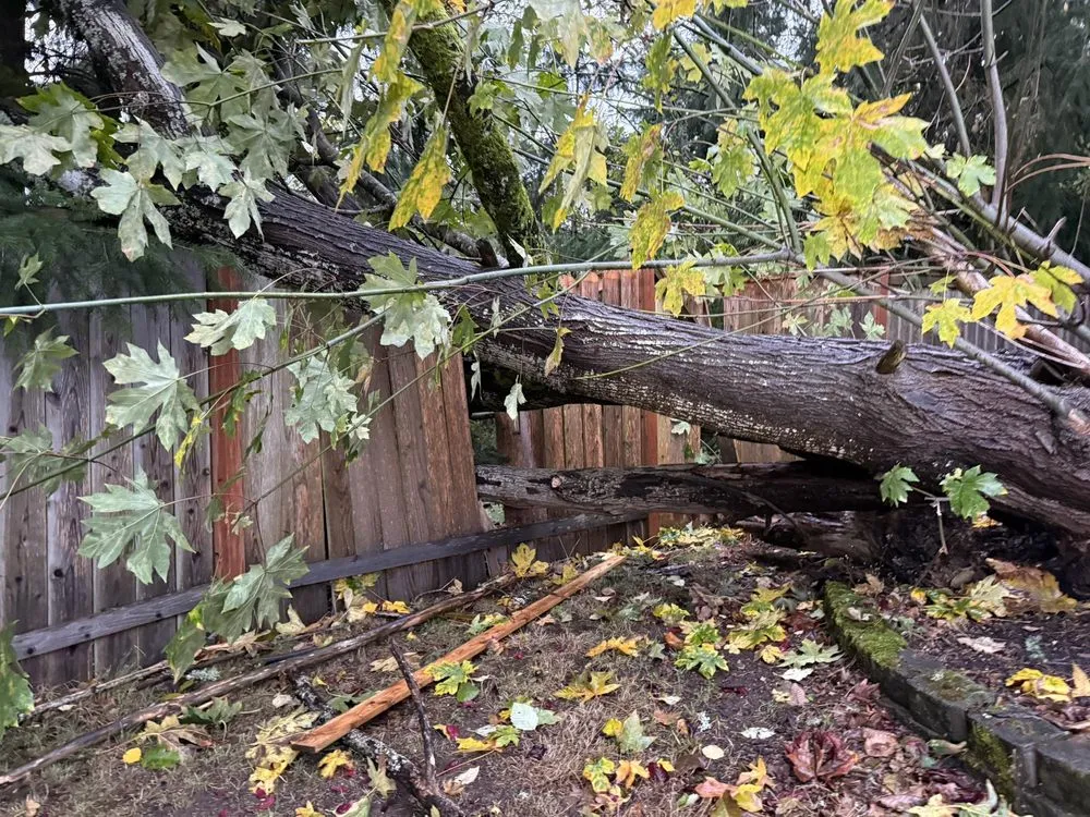 Affordable landscape installation for residential properties in lakewood, WA by Saen Tree Removal Services